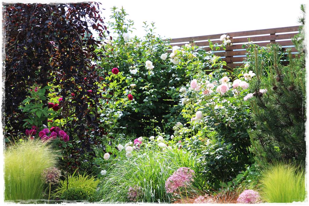 ogród romantyczny 3 ogród romantyczny 3