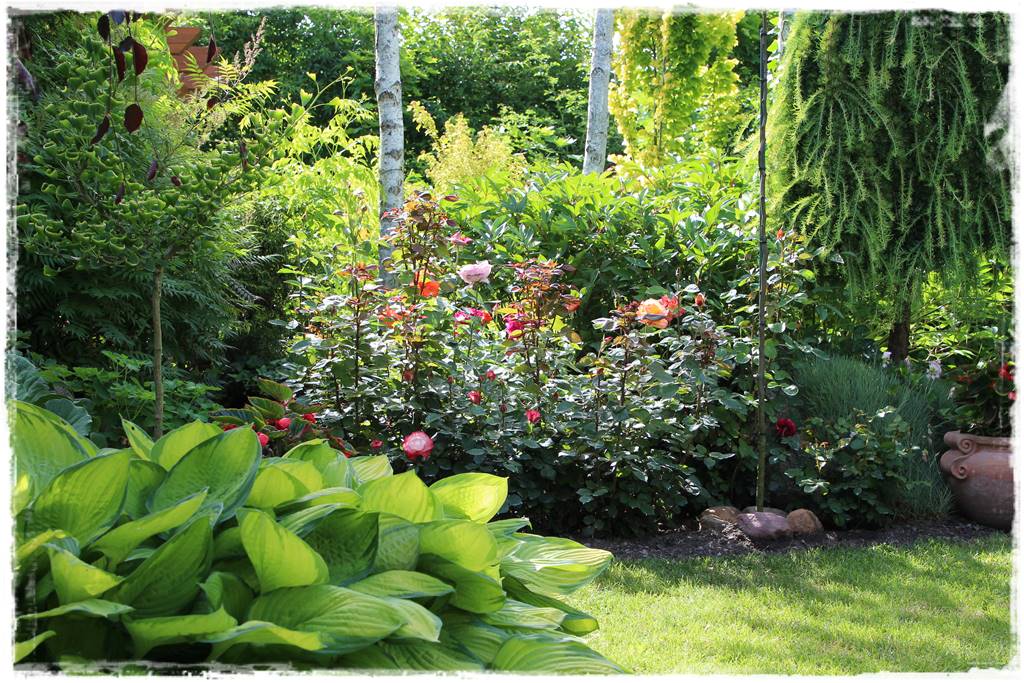 ogród romantyczny 3c ogród romantyczny 3c