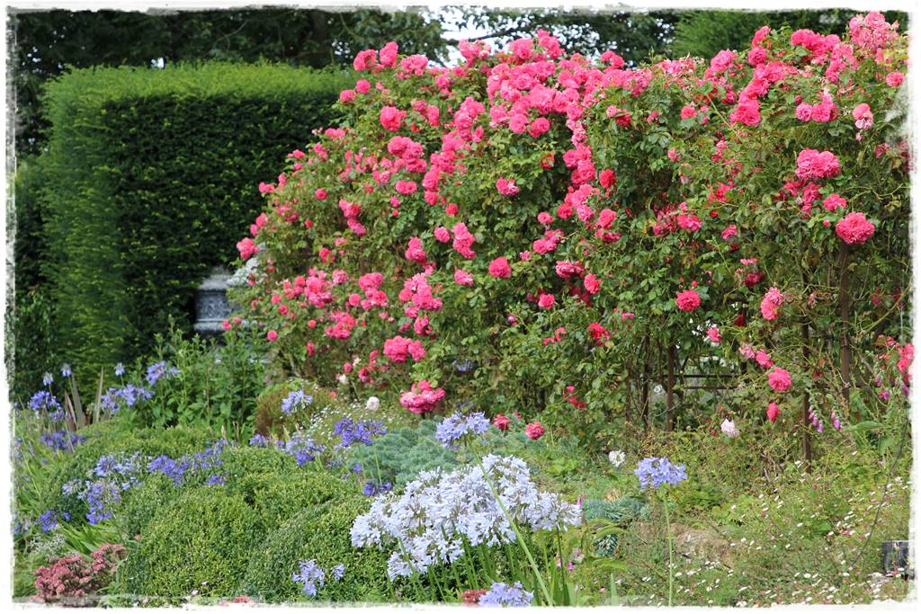 ogród romantyczny 4a ogród romantyczny 4a