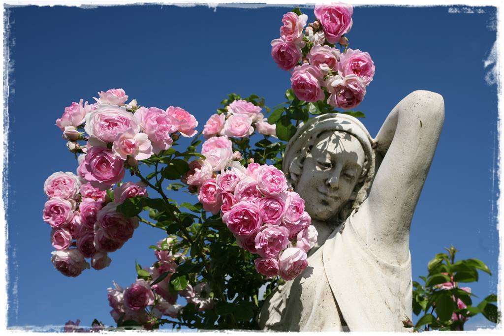 ogród romantyczny 4b ogród romantyczny 4b