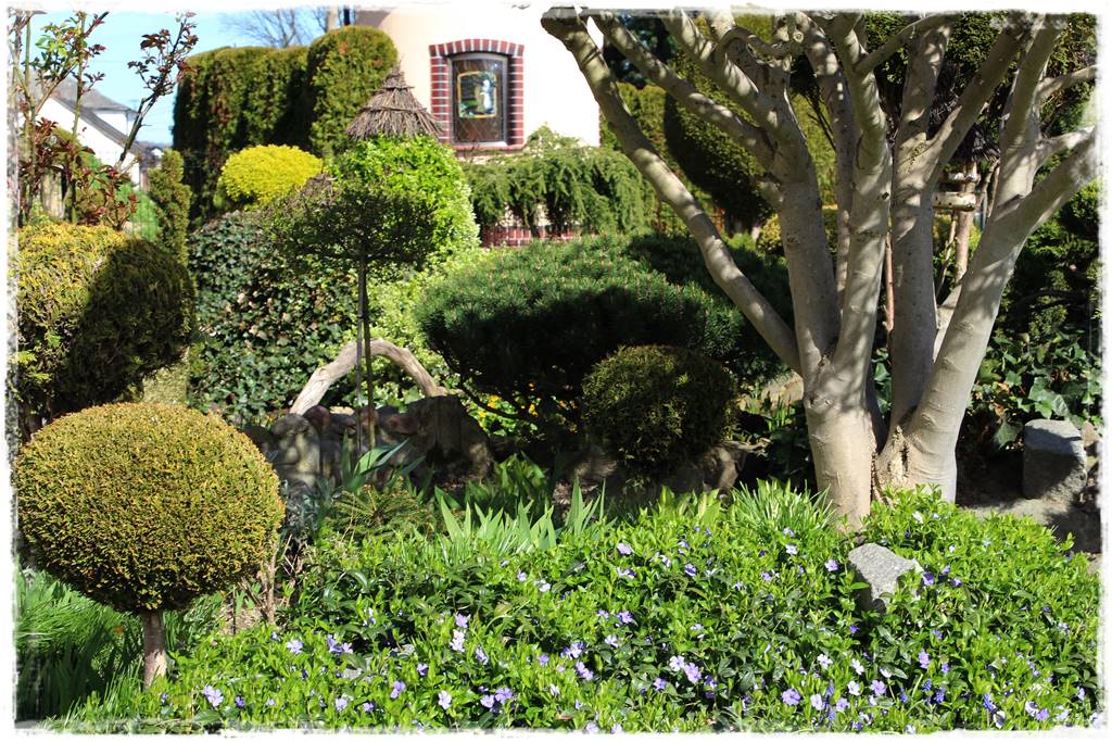 ogród z patyków 10