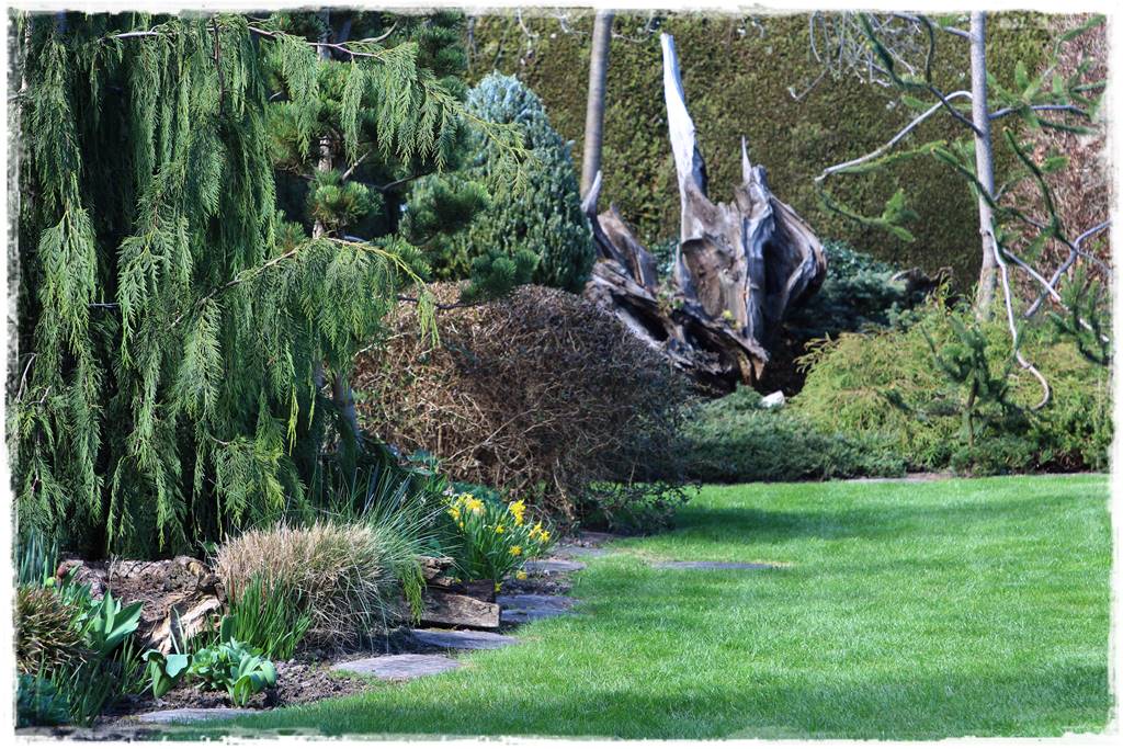 ogród z patyków 22