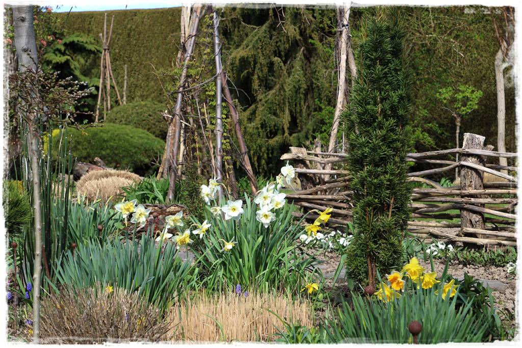 ogród z patyków 24