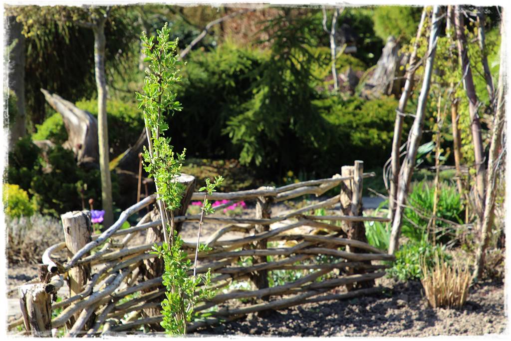 ogród z patyków 25