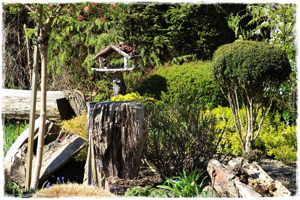 ogród z patyków 38