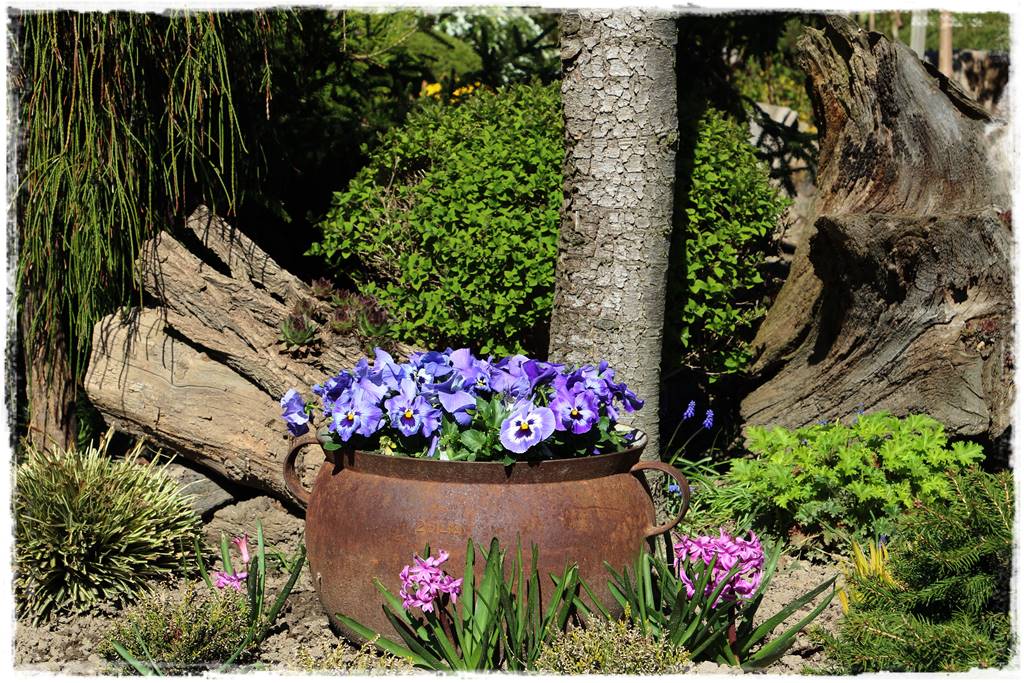 ogród z patyków 46