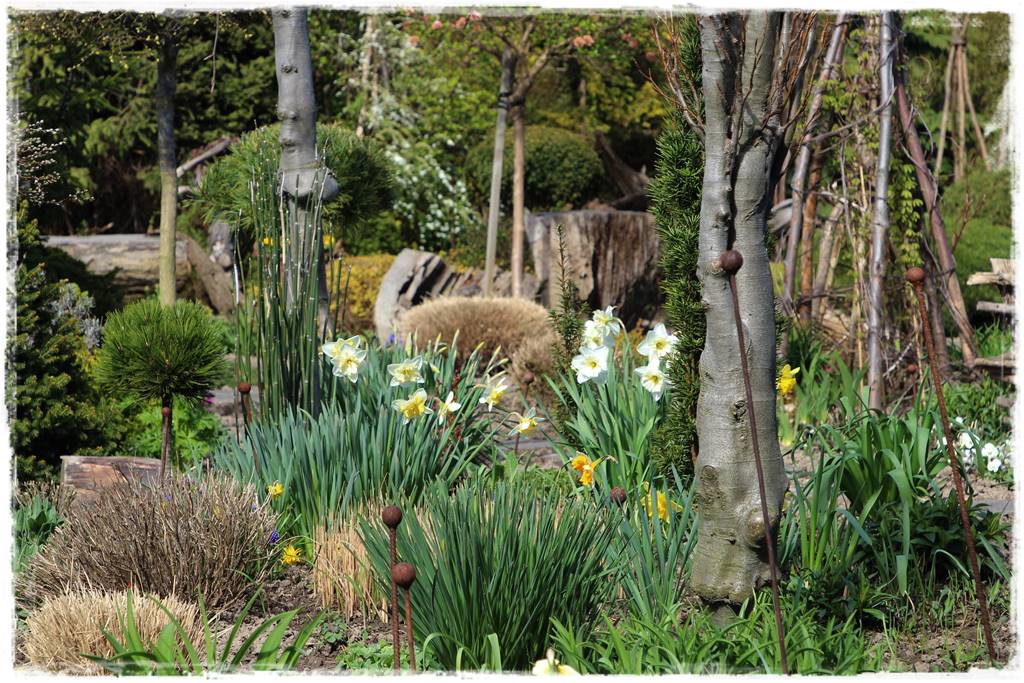 ogród z patyków 51