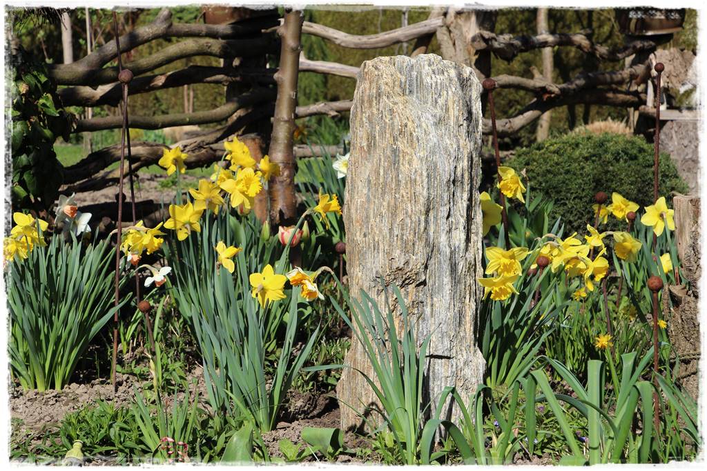 ogród z patyków 60