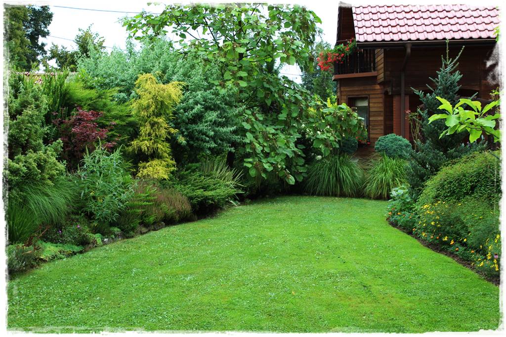 oprysk na kleszcze 8