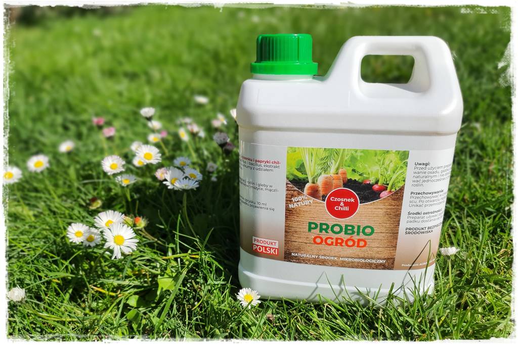 sposób na mszyce 14