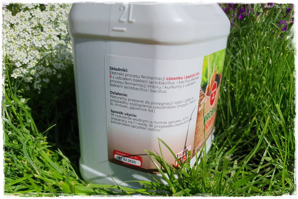 sposób na mszyce 15