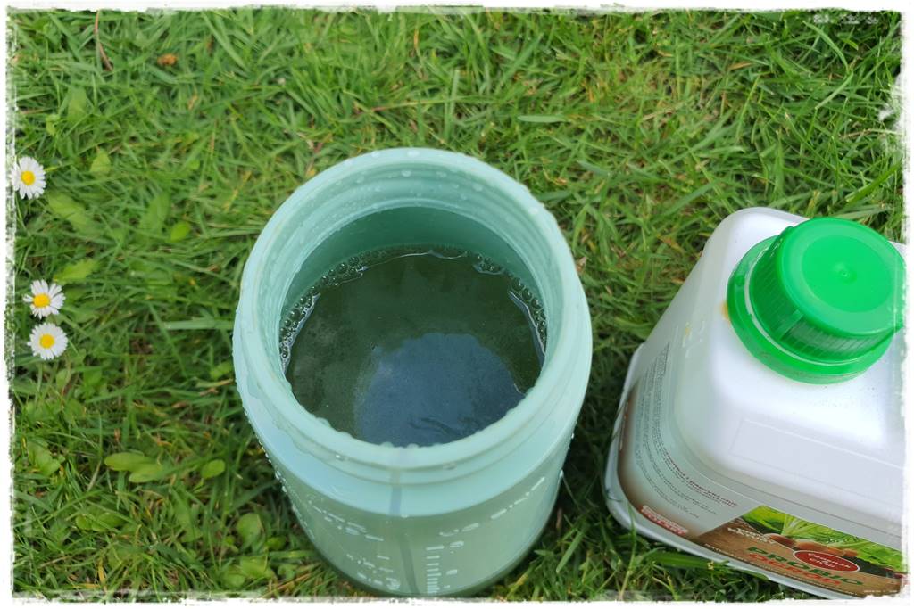 sposób na mszyce 25 sposób na mszyce 25