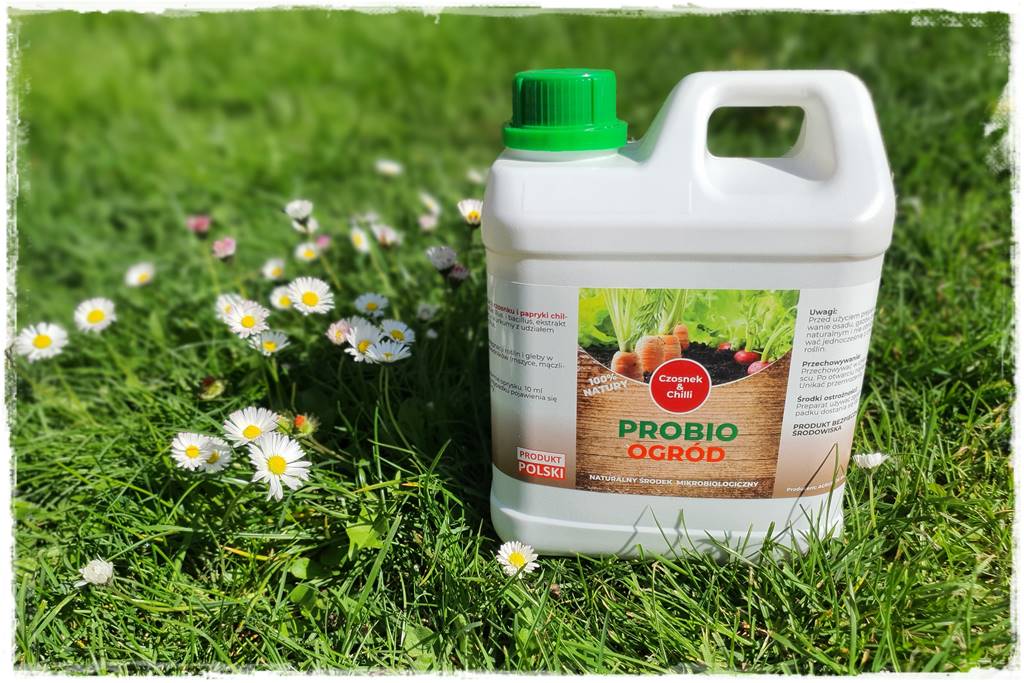 sposób na mszyce 31 sposób na mszyce 31