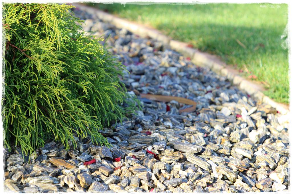 Agrowłóknina ściółkująca 10