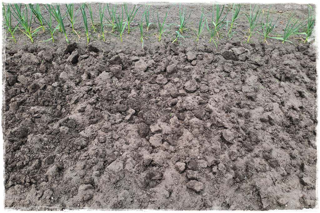 Agrowłóknina ściółkująca 18