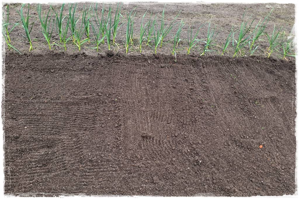 Agrowłóknina ściółkująca 19