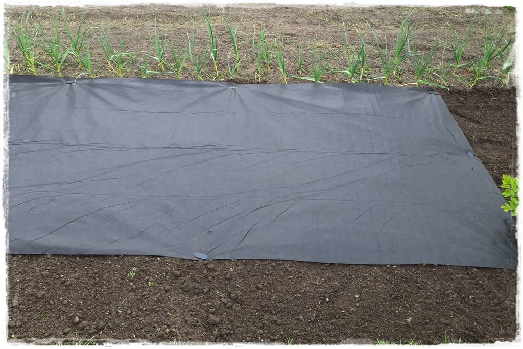 Agrowłóknina ściółkująca 22