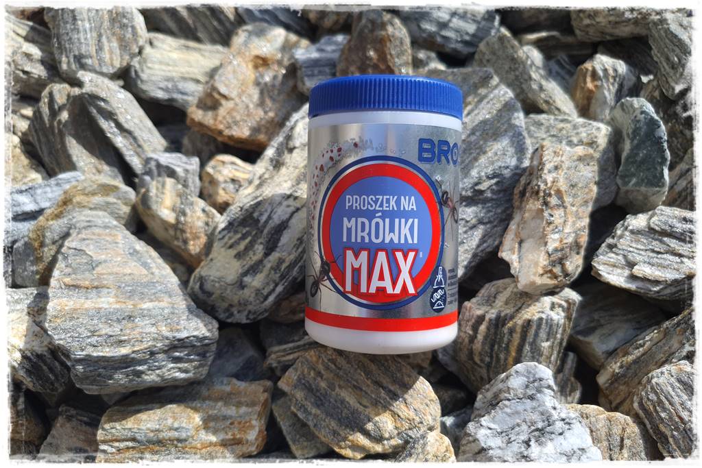 Jak pozbyć się mrówek 23