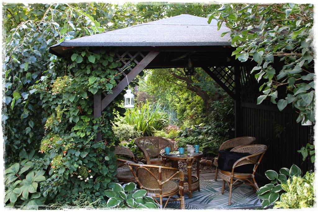 Jak pozbyć się mrówek 26