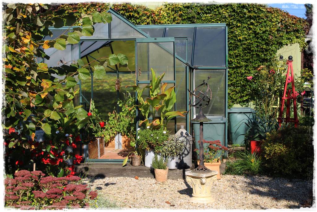 Jak pozbyć się mrówek 27