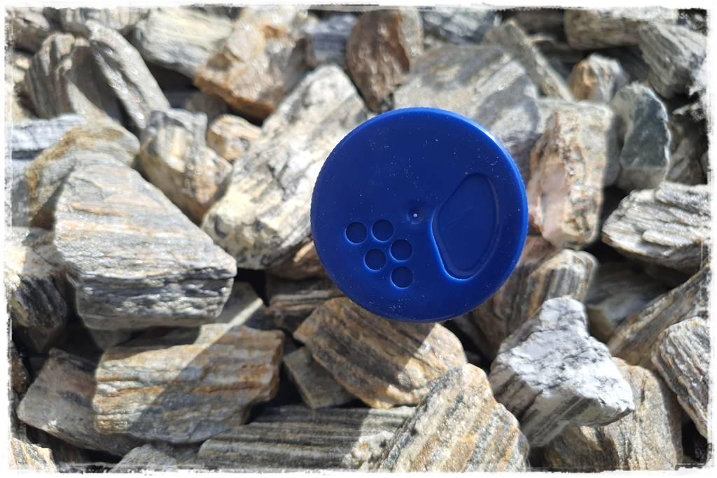 Jak pozbyć się mrówek 38