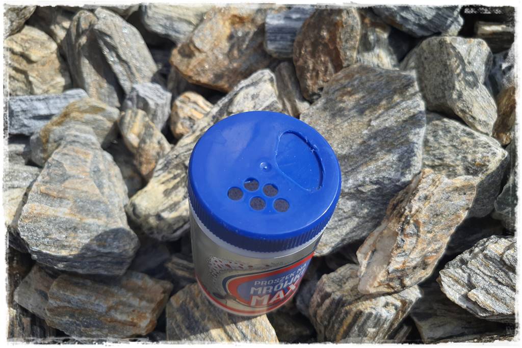 Jak pozbyć się mrówek 39