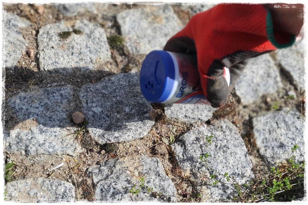 Jak pozbyć się mrówek 42