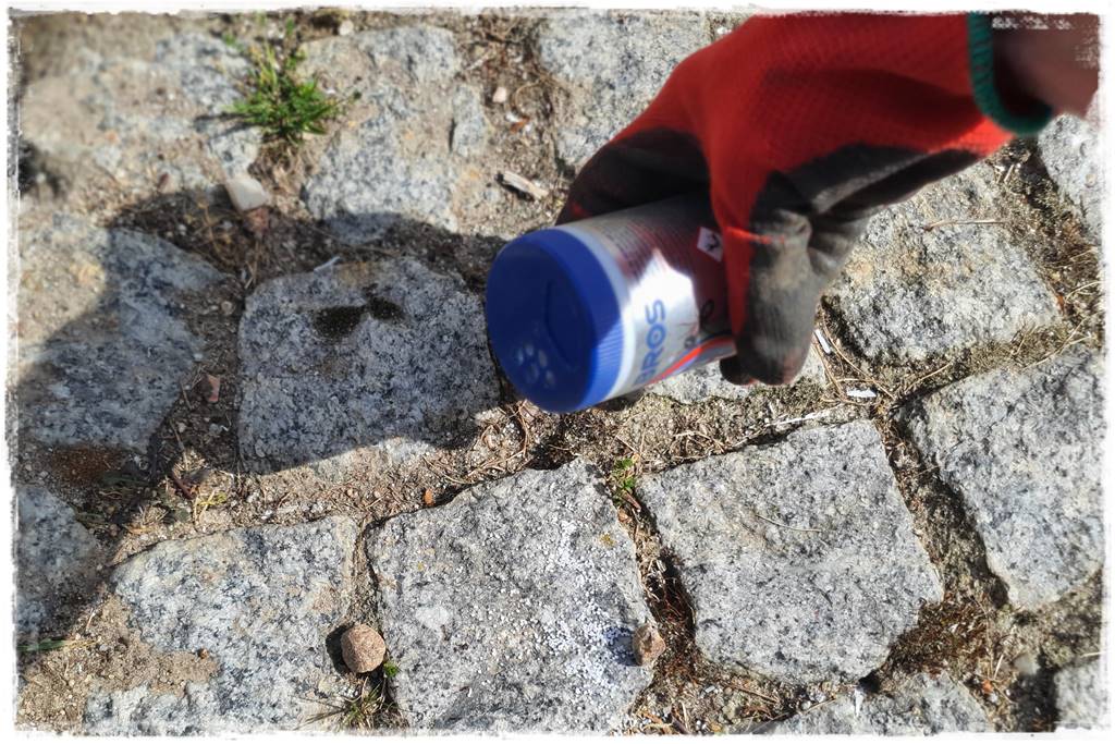 Jak pozbyć się mrówek 48