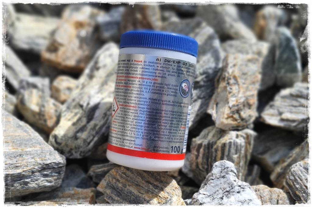 Jak pozbyć się mrówek 53