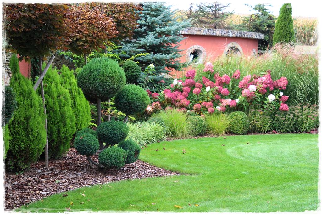 Nawożenie tui i iglaków 80 Nawożenie tui i iglaków 80