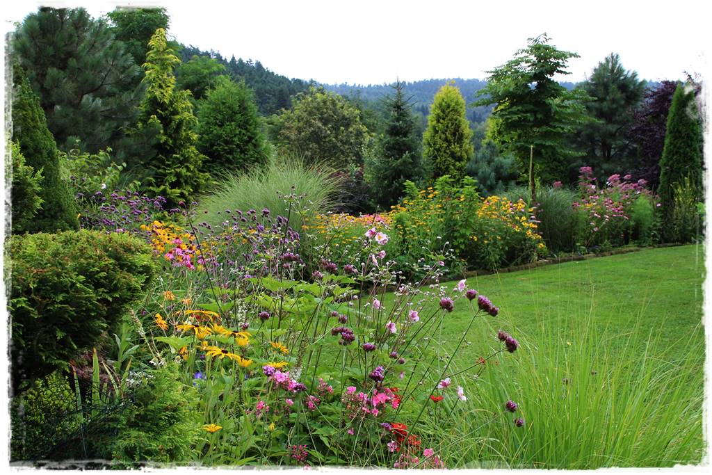 Nawożenie tui i iglaków 96 Nawożenie tui i iglaków 96