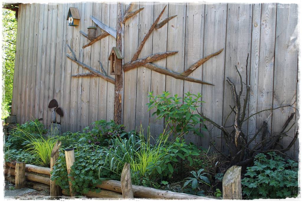 Ogród w wiejskim stylu 10