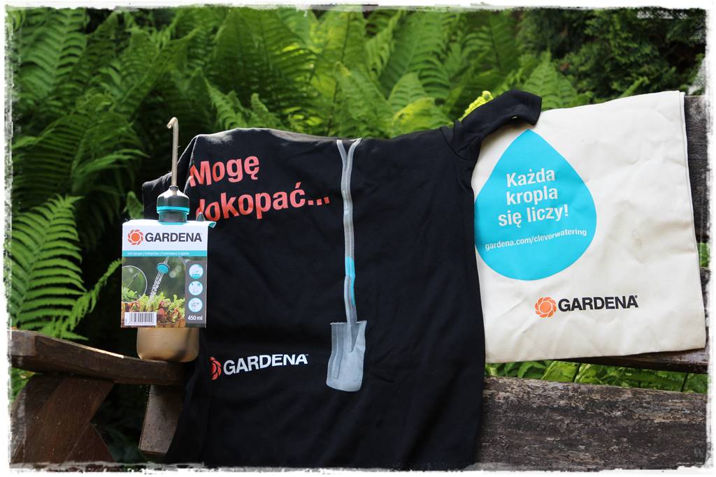 Ogród w wiejskim stylu 100