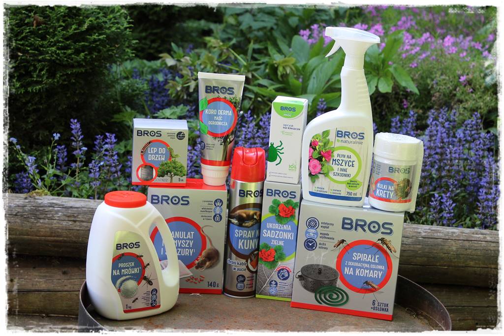 Ogród w wiejskim stylu 101