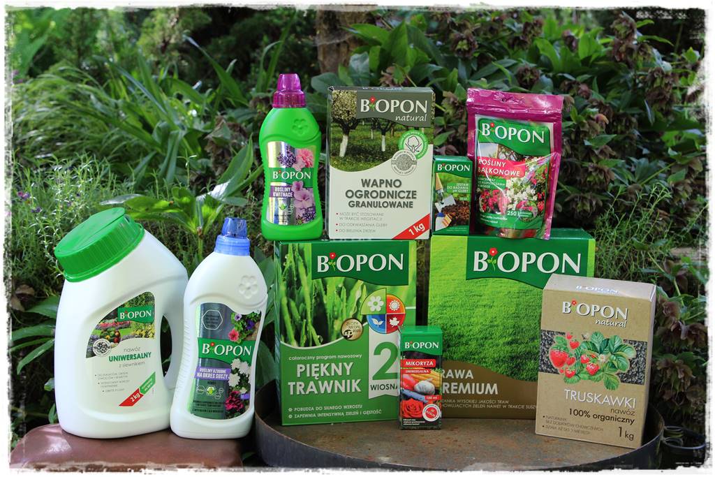 Ogród w wiejskim stylu 108