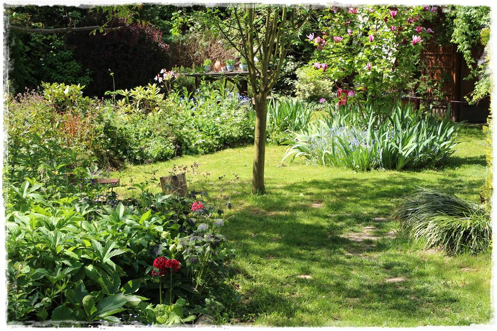 Ogród w wiejskim stylu 14