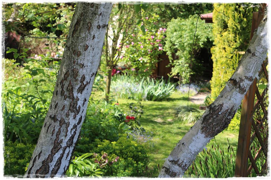 Ogród w wiejskim stylu 14a