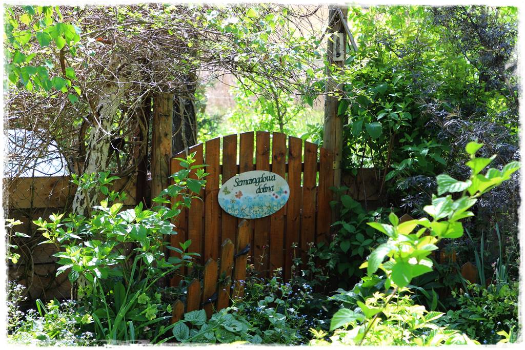 Ogród w wiejskim stylu 2