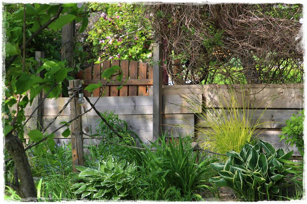 Ogród w wiejskim stylu 21