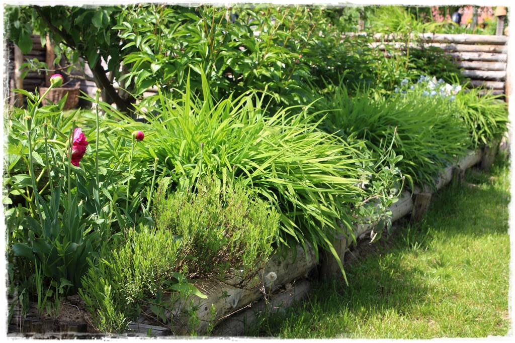 Ogród w wiejskim stylu 24