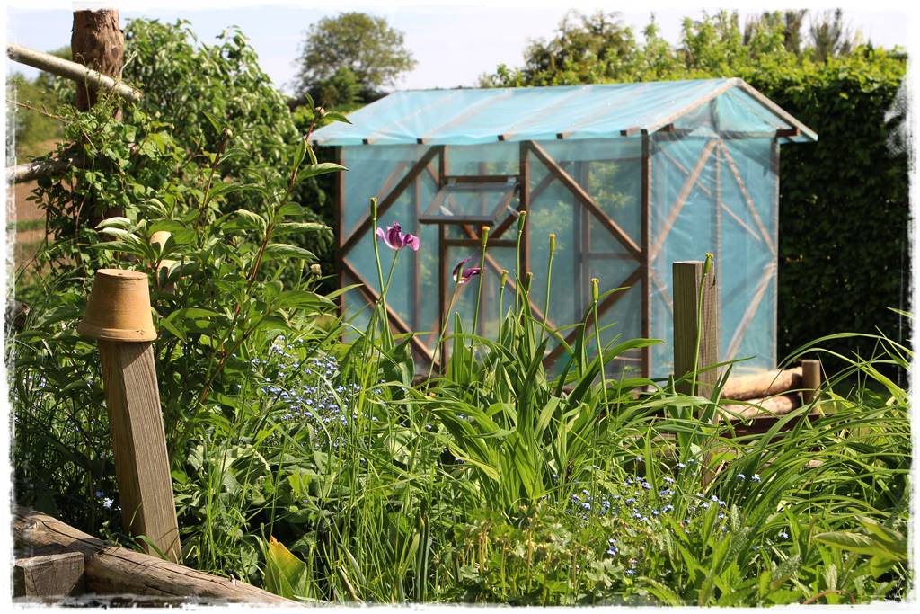 Ogród w wiejskim stylu 27