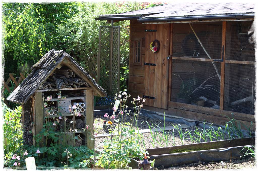 Ogród w wiejskim stylu 30