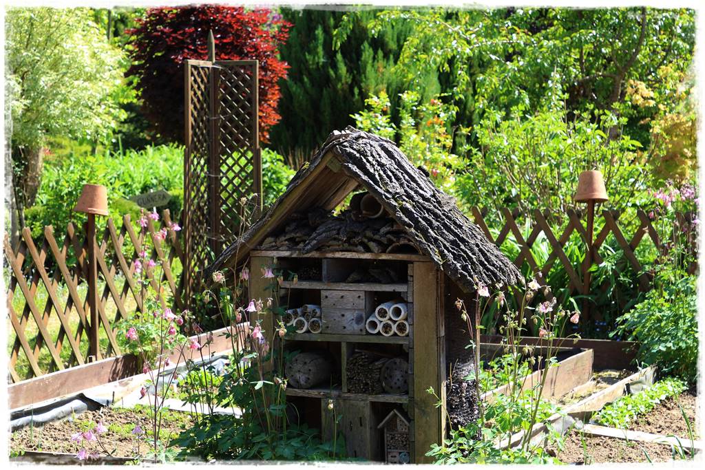 Ogród w wiejskim stylu 31