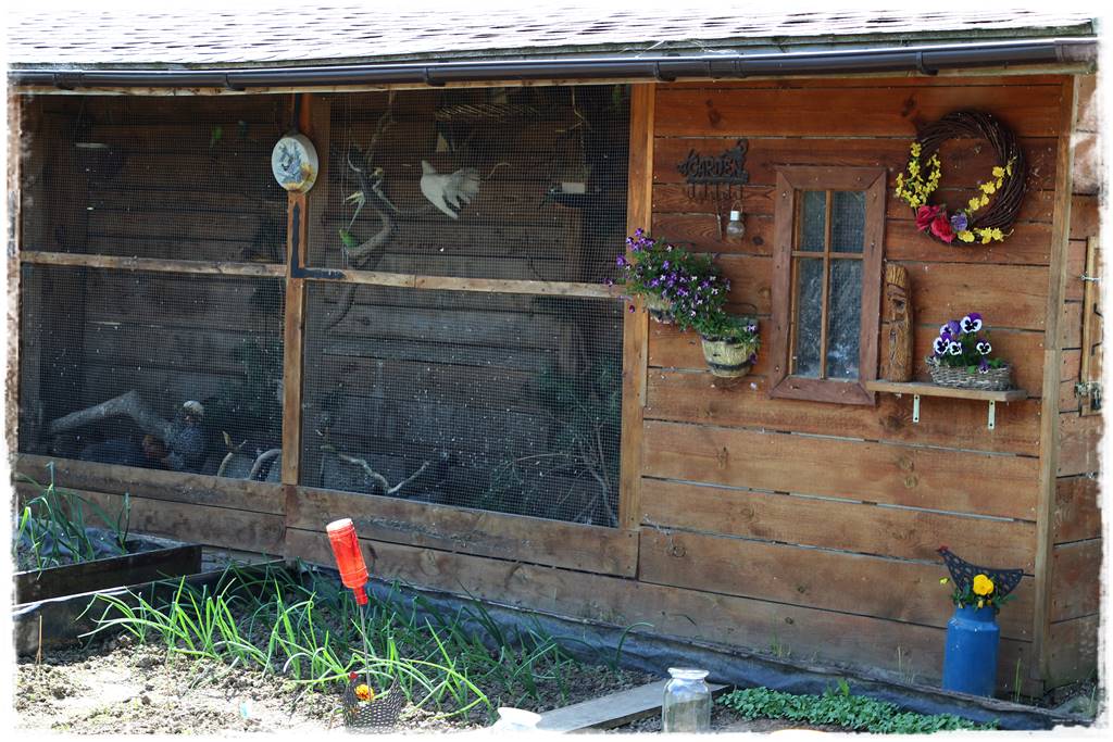 Ogród w wiejskim stylu 33