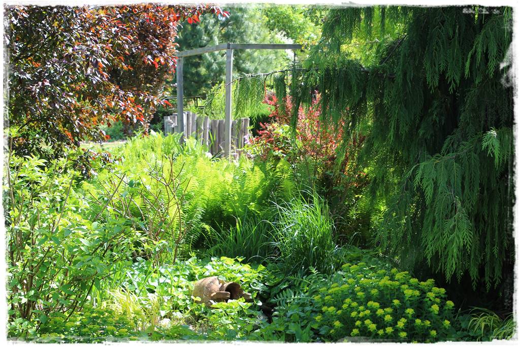 Ogród w wiejskim stylu 35