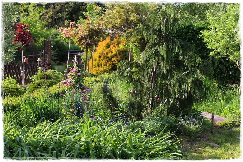 Ogród w wiejskim stylu 36