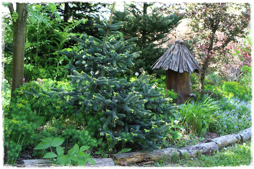 Ogród w wiejskim stylu 37