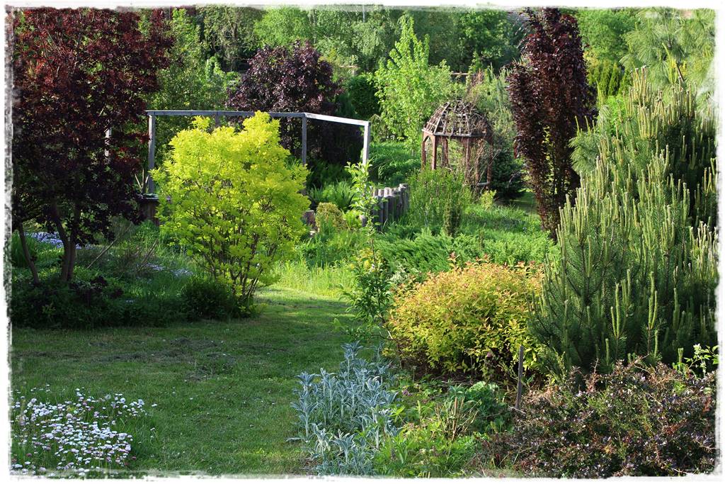 Ogród w wiejskim stylu 38