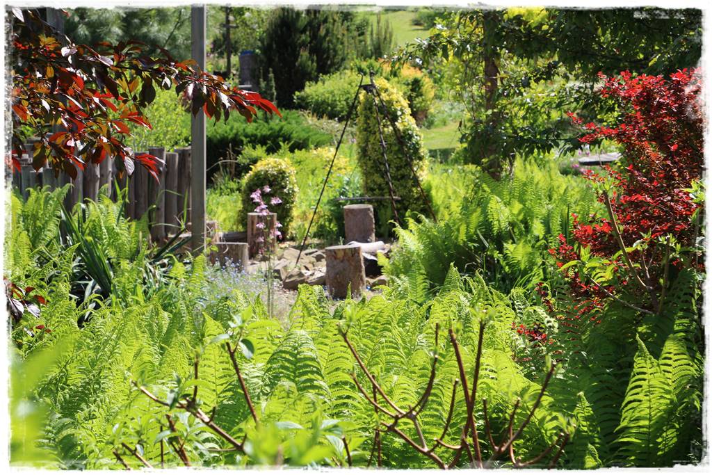 Ogród w wiejskim stylu 39