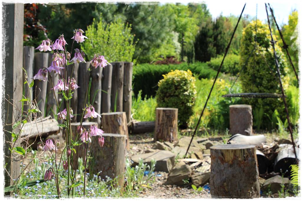 Ogród w wiejskim stylu 42